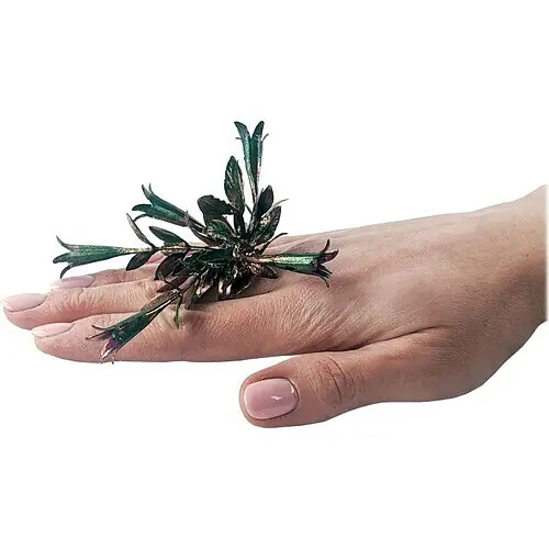 Каблучка Queen Flora - фото 1