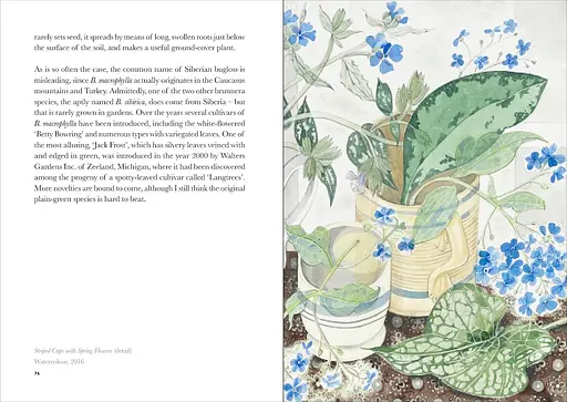 The Book of Garden Flowers - фото 6