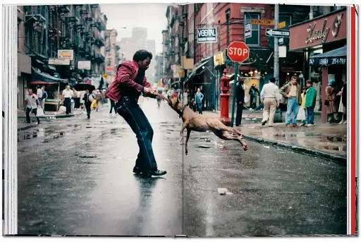 New York. Portrait of a City - фото 5