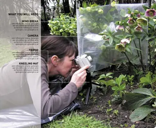 How to Photograph Absolutely Everything - фото 3