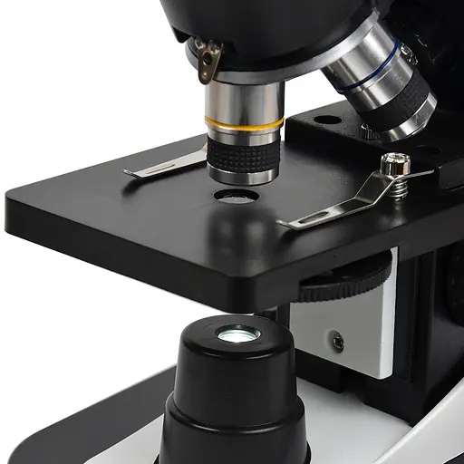 Мікроскоп SIGETA COREON 40x-1280x LED Mono (65267) - фото 9