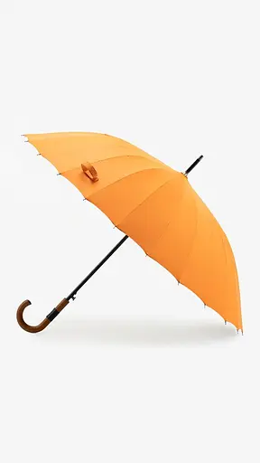 Парасолька чоловіча WT18 Помаранчевий - фото 1