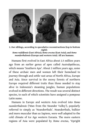 Sapiens. A Brief History of Humankind - фото 7