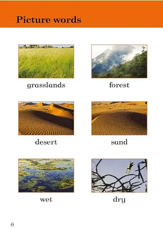 Big and Small. Ladybird Readers. Level 2 - фото 2