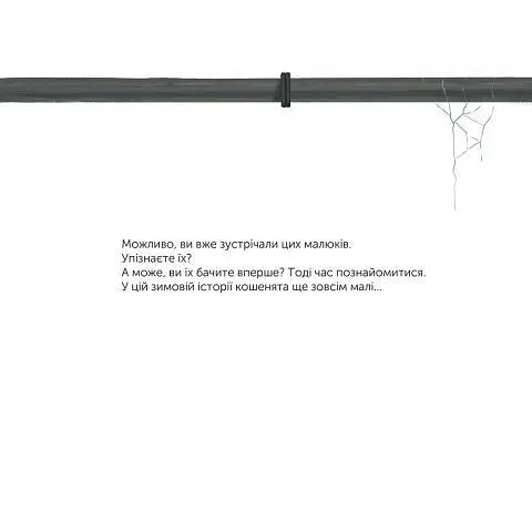 Книга Котохатка. Автор - Галина Вдовиченко (ВСЛ) - фото 4