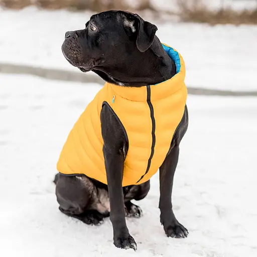 Двостороння курточка AiryVest для собак , "Colors of freedom", розмір L65 [CD] - фото 5