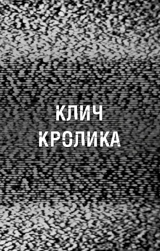 Жахастики Фазбера. Клич кролика. Книга 5 - фото 5