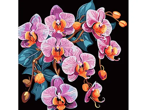 Картина за номерами Strateg Орхідея у вишуканості на чорному фоні (40х50 см) - фото 1