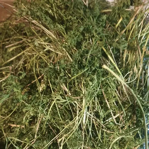 100 г морква бадилля - свіжий урожай