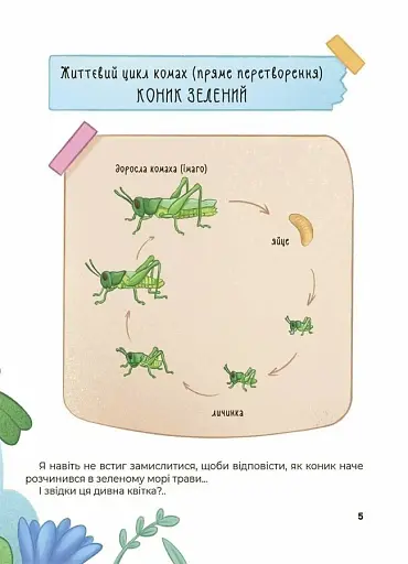 Дивовижні перетворення. Хто ховався у яєчку - фото 6