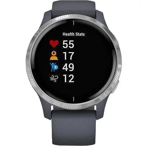 Спортивные часы Garmin Venu Silver Stainless Steel Bezel w. Granite Blue and Silicone B. (010-02173-01/010-02173-03)