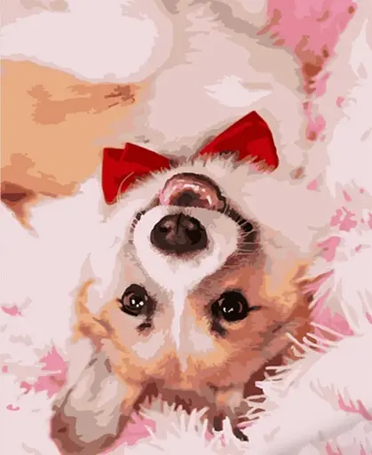 Набор для росписи по номерам Корги с галстуком, Strateg, 40x50 см, HH012