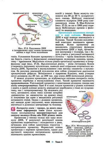Біологія і екологія 10 клас - фото 5