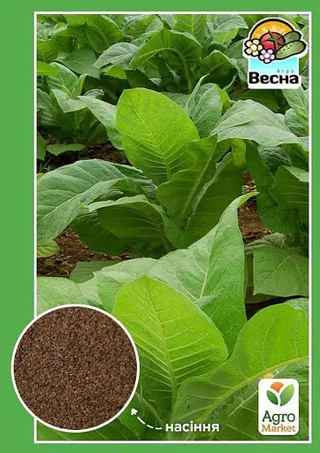 Семена Табак "Курильный" Весна 0.2г (21463) - фото 2