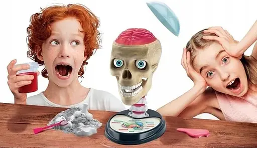 Науковий та веселий набір Божевільна анатомія - Clementoni 50697 - фото 4