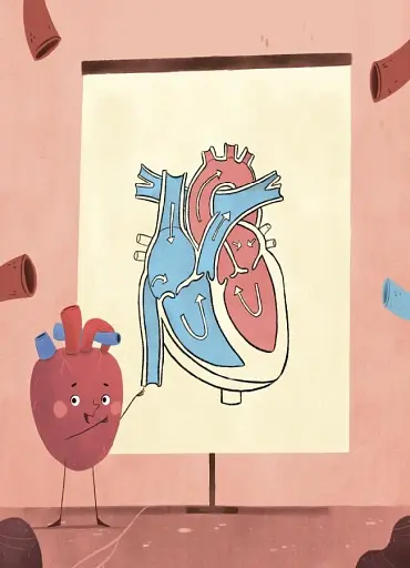 Хочу знати. Будова твого організму. Що є що і як воно працює. 7+ - фото 8