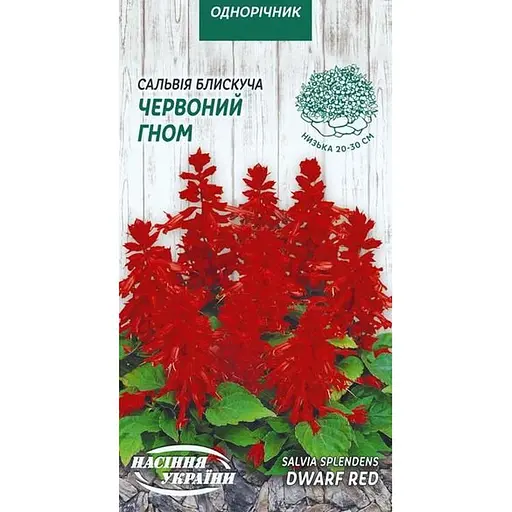 Семена Сальвия блестящая Насіння України 0.2 г красная (801200)