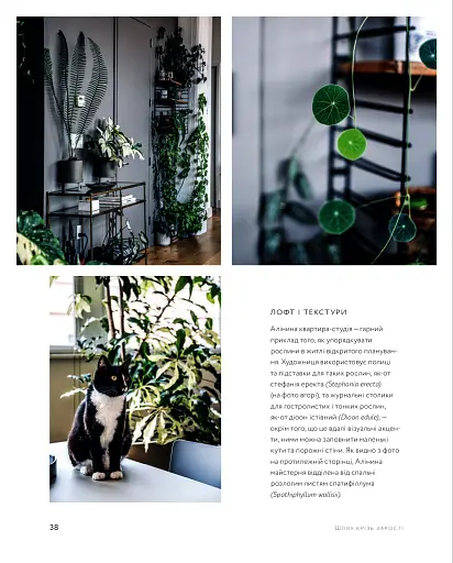 Дикі інтер’єри. Красиві рослини в чудових просторах - фото 14