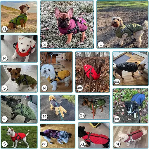 Savlot куртка для собак зимний жилет куртки пальто для собак джемпер для собак лыжный костюм для домашних животных без рукавов - фото 3
