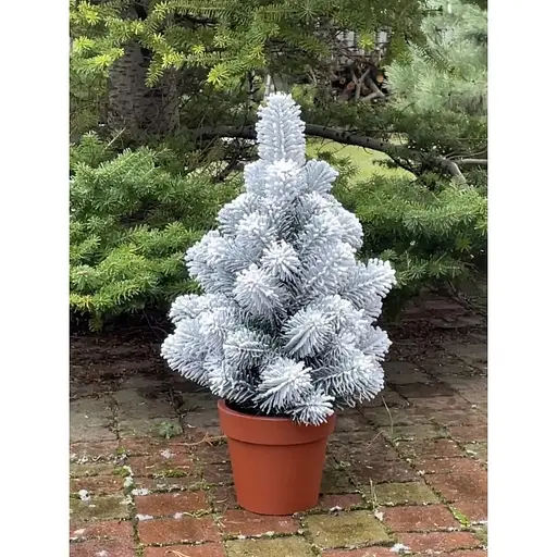 Елка Hvoya Premium литая в горшке 50 см заснеженная - фото 2