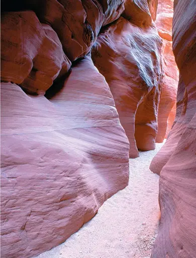 1001 Walks: You must experience before you die - фото 7