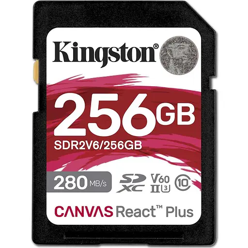 Карта пам'яті Kingston SD 256GB C10 (SDR2V6/256GB) - фото 1