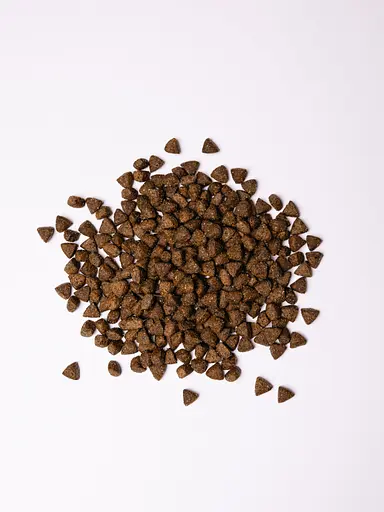 Сухий корм Savory для стерилізованих собак усіх порід, зі свіжою індичкою, 12 кг - фото 4