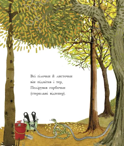 Чистьоха - фото 4