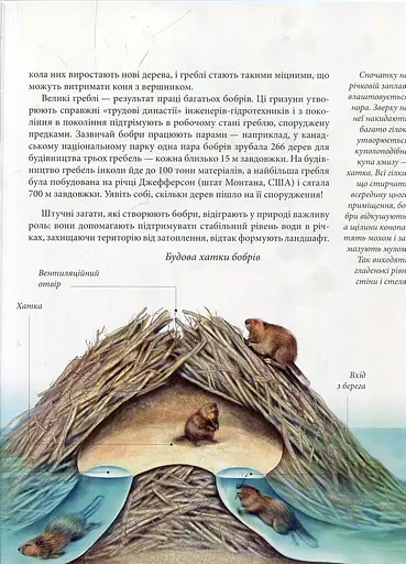 Енциклопедія для допитливих А5 : Тварини - винахідники і будівельники (Українська, 01 КРЕЙДОВАНИЙ ) - фото 10
