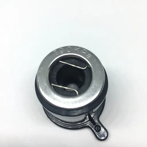 Паровой клапан на мультиварку-скороварку Saturn ST-MC9199, ST-MC9181, Т90KPa - фото 7