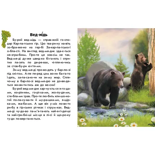 Читаю про Украину по слогам "Животные гор" 366021 с цветными иллюстрациями - фото 2