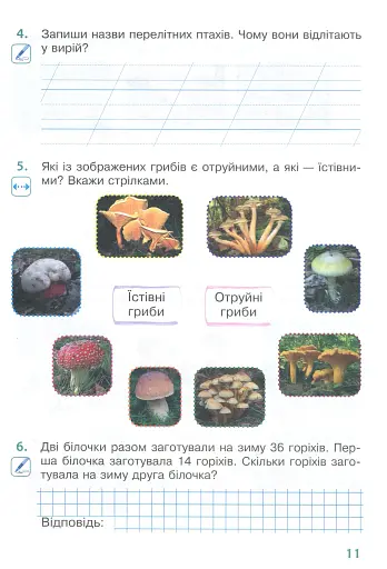 Я досліджую світ. 2 клас. Робочий зошит. Частина 1 - фото 10