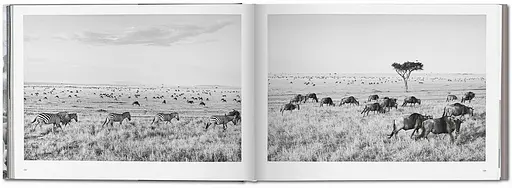 Sebastião Salgado. Africa - фото 2