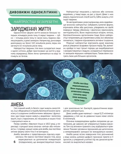 Тварини - фото 7