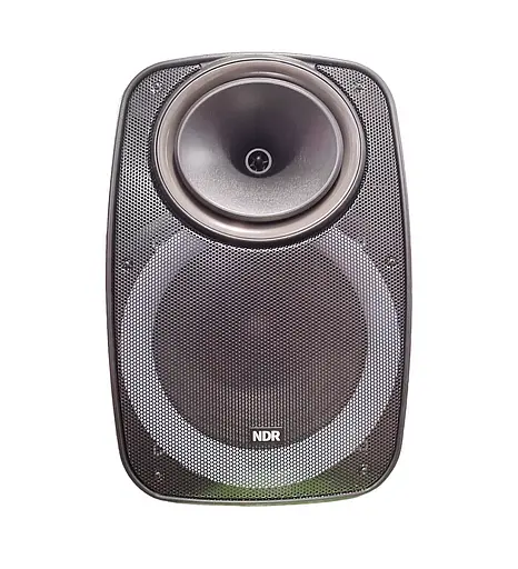 Профессиональная Bluetooth колонкa NDR-A55 15-дюймовая с беспроводным микрофоном - фото 5