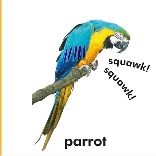 Baby Touch and Feel. Wild Animals - фото 3