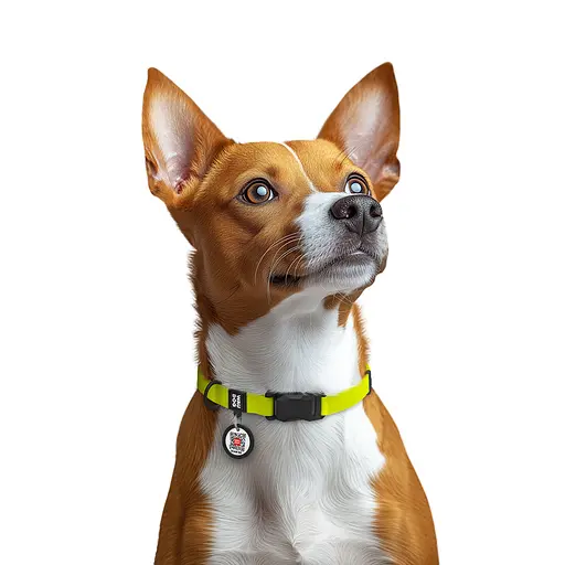 Ошейник для собак водостойкий Waudog Magnet с QR-паспортом магнитная пряжка-фастекс S Ш 15 мм Д 26-35 см лимонный - фото 3