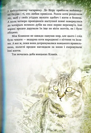 Коти-вояки. Таємниці Кланів. Путівник по серії - фото 5