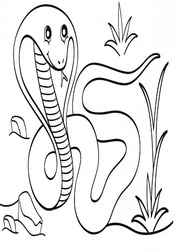 Дитяча водна розмальовка: Екзотичні тварини 734012, 8 сторінок - фото 4