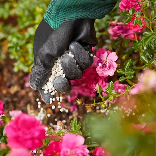 Тверде добриво тривалої дії для троянд COMPO 2 кг - фото 12