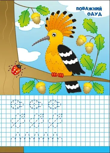 Пиши-стирай. Лісові прописи - фото 3