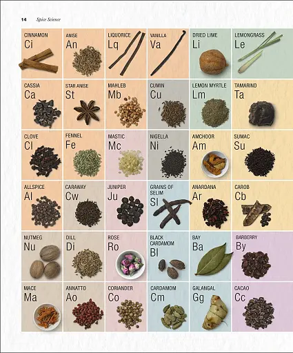 The Science of Spice - фото 3