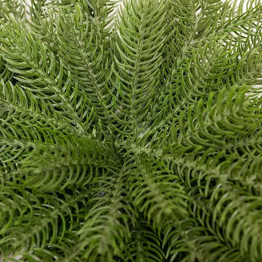 Новорічна хвойна гірлянда лита  Lugi TD-NSTGR1 зелена Північна зірка 60х35 см - фото 6