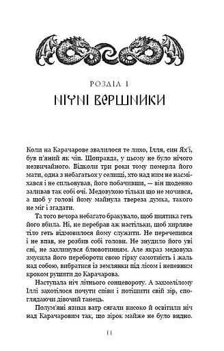Богатир. Книга 1. Сталеве жезло - фото 6