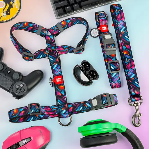 Ошейник для собак нейлоновый Waudog Nylon с QR-паспортом "Бесконечные миры" пластиковый фастекс XL Ш 25 мм Дов - фото 2