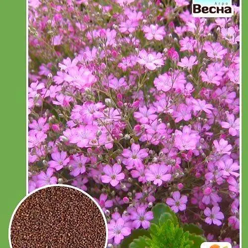 Гипсофила розовая Весна 0.4г (12710) - фото 3