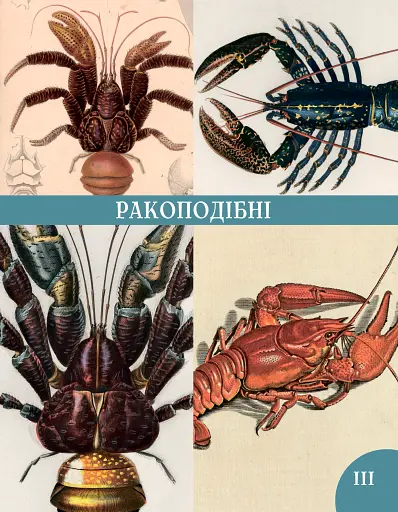 Розповіді про тварин та їх назви - фото 6