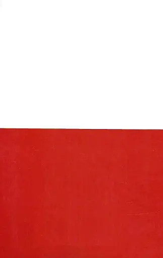 Польско-украинский, украинско-польский словарь. 100 000 слов - фото 2