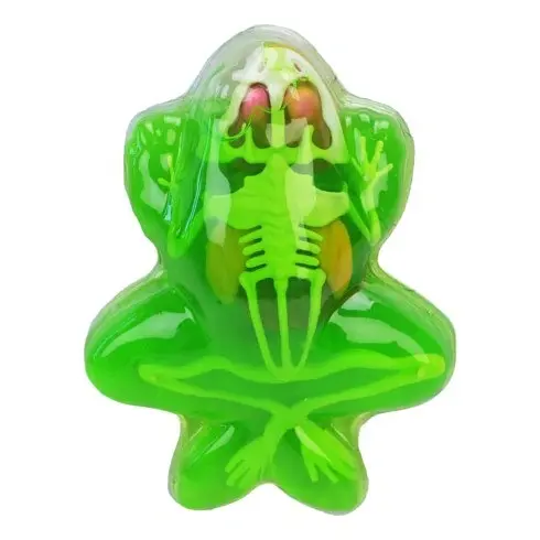 Дитячий лабораторнний набір Жаба 801B, скелет, внутрішні органи - фото 2