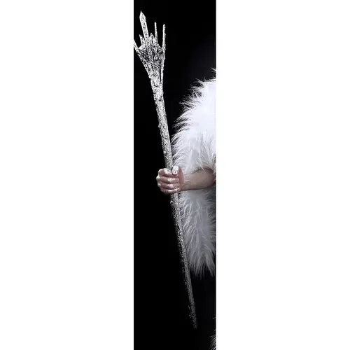 Тростина Крижана королева - фото 1